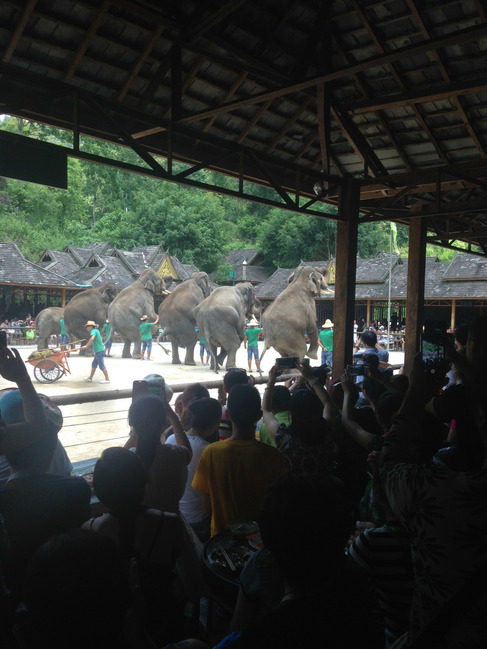 暑假云南旅游攻略8天,海南暑期云南旅游费用