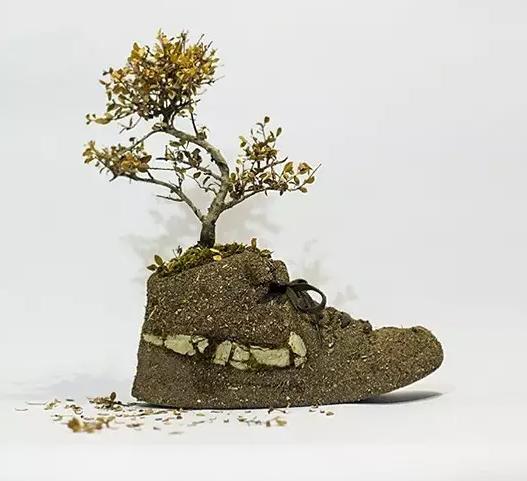 球鞋里面的圈子,鞋里面的世界