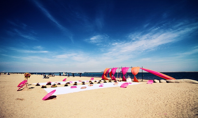 放飞蝴蝶,集体婚礼策划方案范文10篇