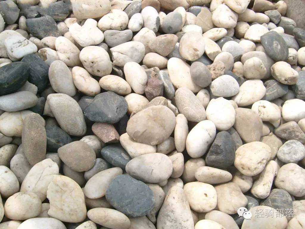 狗肉节引发风波全集,狗肉节引发的风波完整版广东卫视