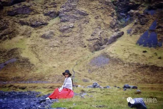 我在冰岛，带回一截漂亮的枯木