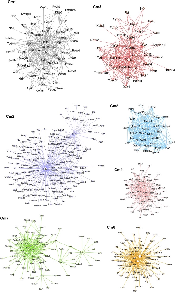神经再生研究新突破,神经再生研究成果视频
