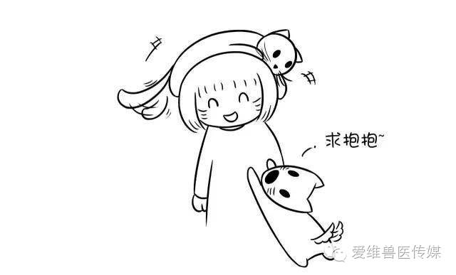 接触猫狗粪便会传染狂犬病吗,猫狗只有发病才会传染吗