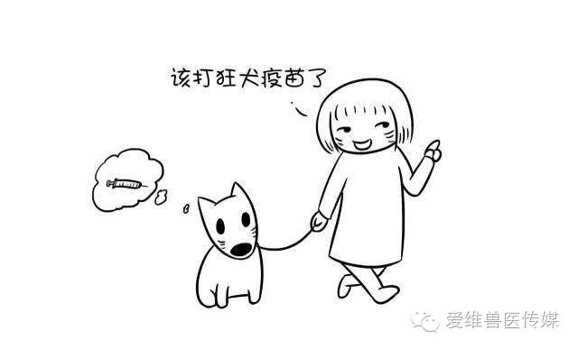 接触猫狗粪便会传染狂犬病吗,猫狗只有发病才会传染吗