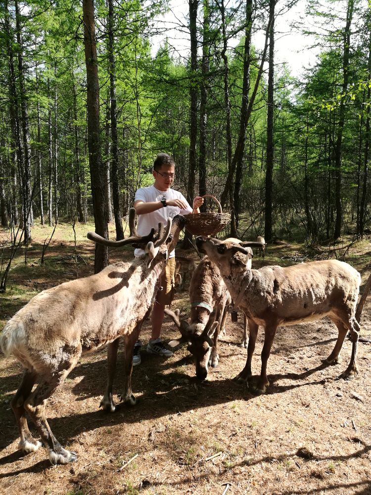 记忆深处的呼伦贝尔,记录呼伦贝尔美好时光