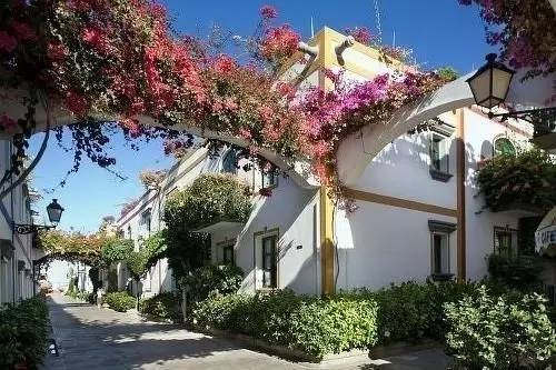 小镇艺术|印象派系的吉维尼,莫奈的“睡莲”花园