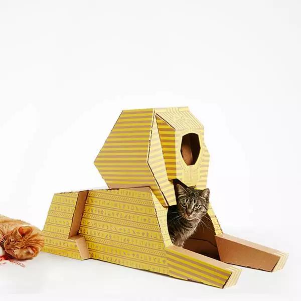 有一种快速让你的猫住进白宫的方法