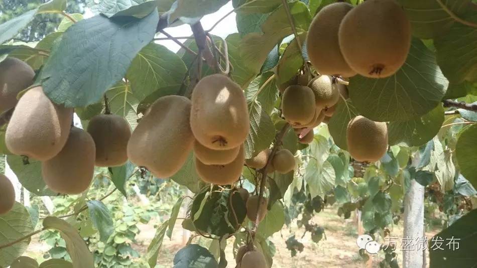 相信我,万盛还有你不知道的一面!