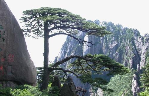 黄山本地人免费游黄山怎么预约,游黄山攻略自驾游路线