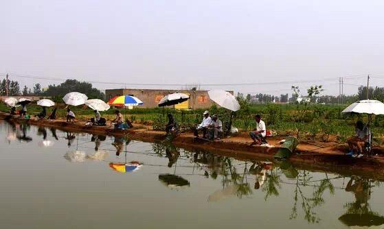 钓黑坑就是钓鱼人在炫富，不服可以来辩！