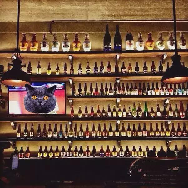 欧洲杯酒馆,欧洲杯酒吧看球视频