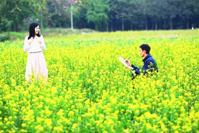 西江明珠石板沙生态岛,江门新会石板沙湿地公园