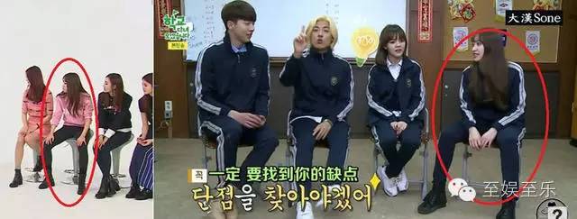 王思聪香蕉计划是什么意思,香蕉计划体育与王思聪