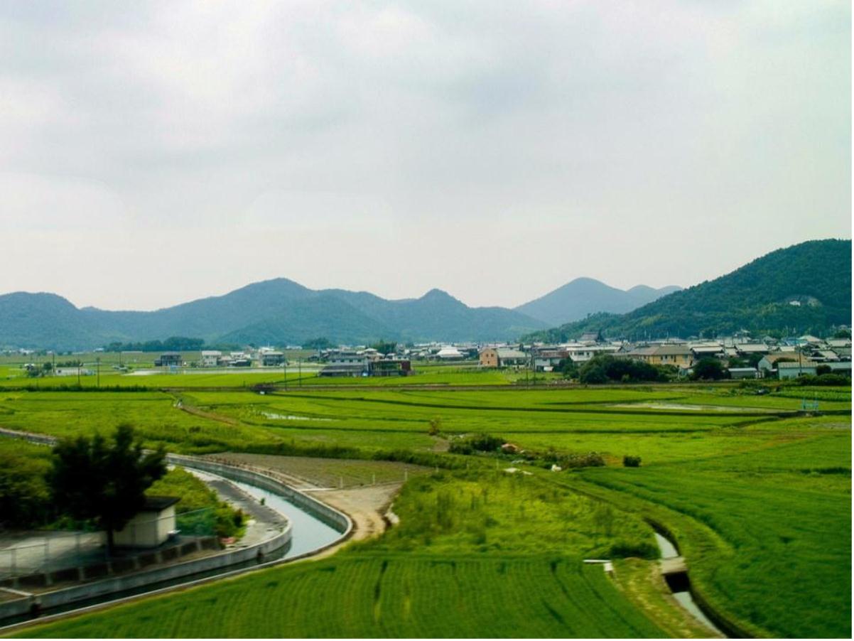 农村宽带普及,农村的网络宽带怎么样