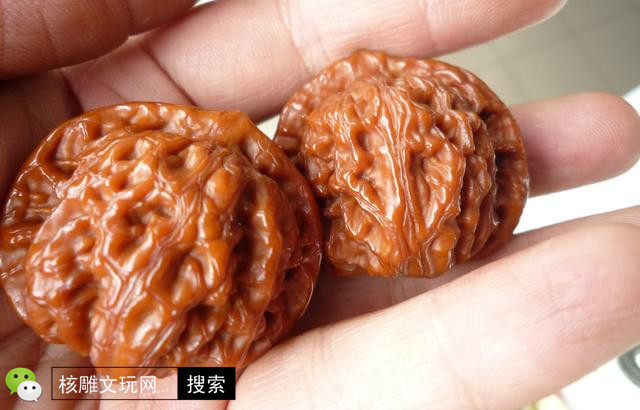 核桃有一个特别小的虫眼怎么办,核桃坏了怎么修补