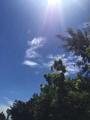 带你走进神秘中东,去孟加拉国旅游真实感受