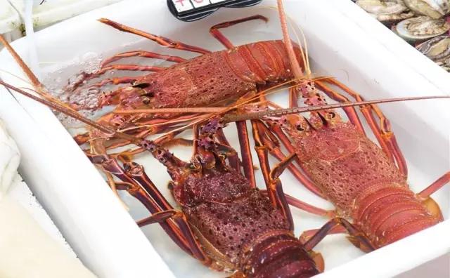 珠海最值得一去的特色街,我只去过5个,你呢?