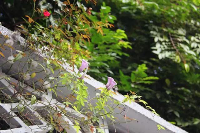 珠海最值得一去的特色街,我只去过5个,你呢?