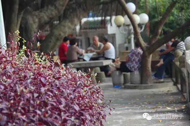 珠海最值得一去的特色街,我只去过5个,你呢?