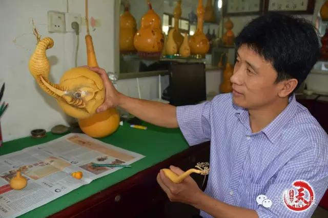 莱芜人的一天：农民陈功宝的“葫芦世界”！