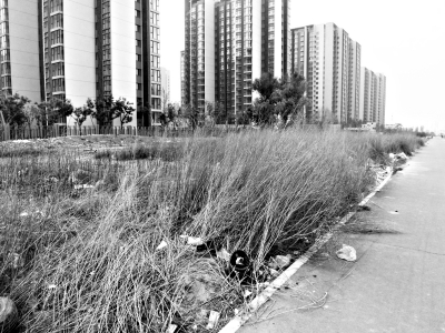 回龙观人民盼了近10年的林萃路,现在怎么样了?