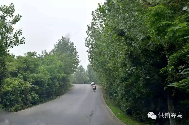 体验夏天农家生活,襄阳值得去的乡村