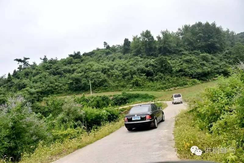 体验夏天农家生活,襄阳值得去的乡村