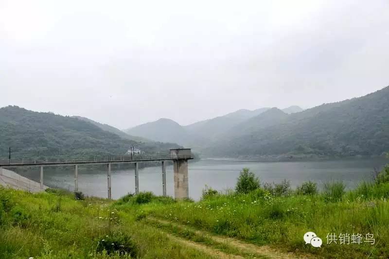 体验夏天农家生活,襄阳值得去的乡村