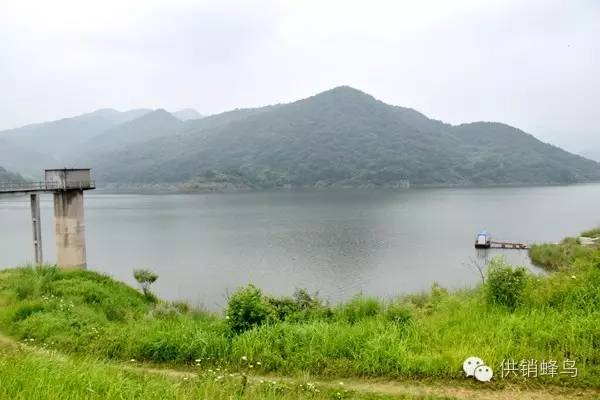 体验夏天农家生活,襄阳值得去的乡村