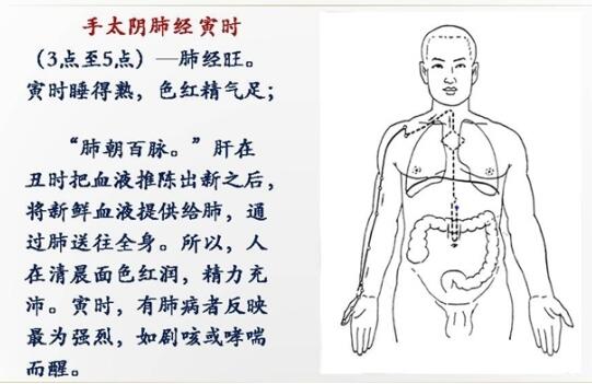 肺经堵塞肩膀会痛,刮肺经完了大拇指不舒服