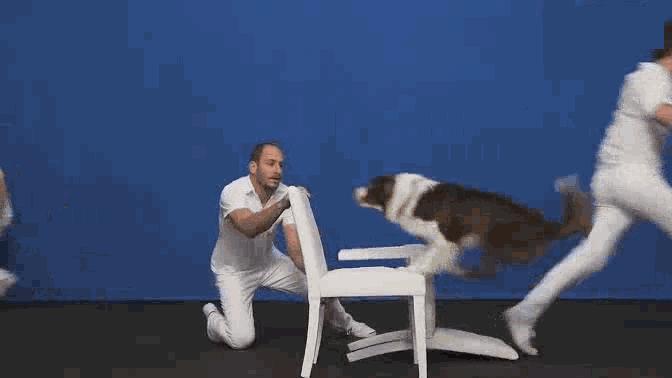 还好有OKGO治好我的性冷淡（跪着看完）……