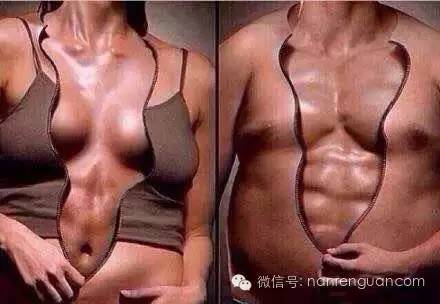 虐腹动作简单高效,快速虐腹动作15天虐出完美腹肌