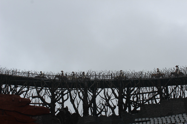 暑假云南旅游攻略8天,海南暑期云南旅游费用