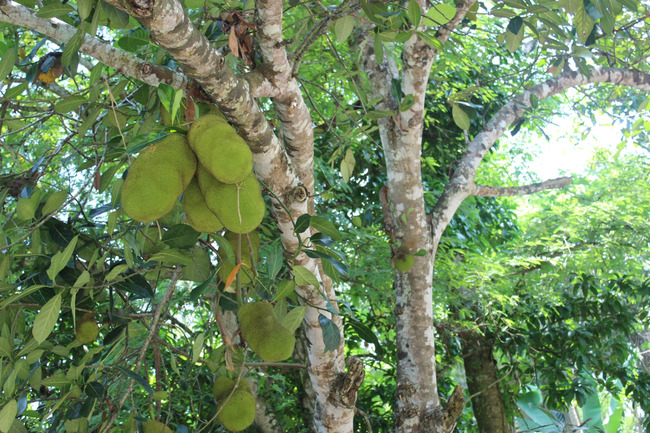 暑假云南旅游攻略8天,海南暑期云南旅游费用