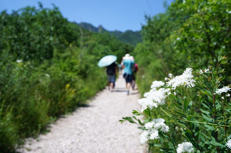 北京大峡谷一日游玩攻略,北京南沟旅游攻略
