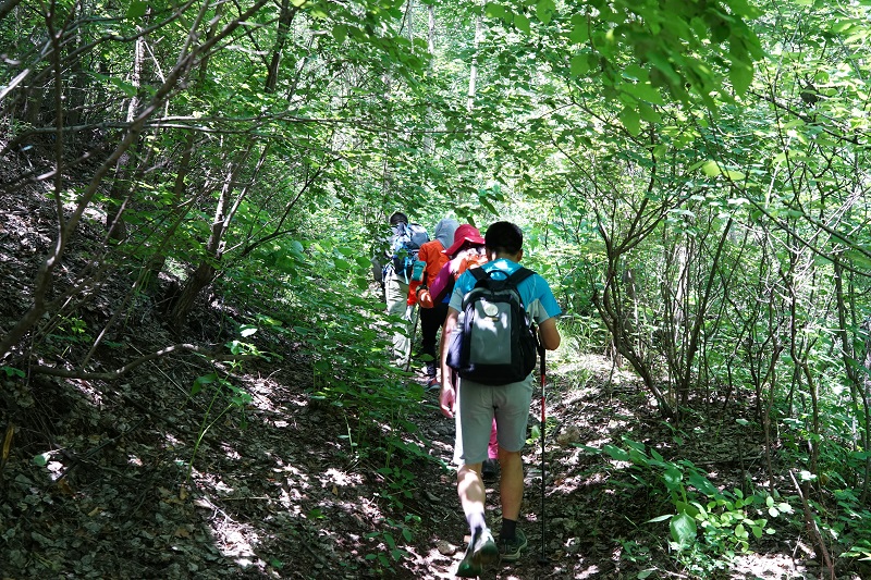 北京大峡谷一日游玩攻略,北京南沟旅游攻略