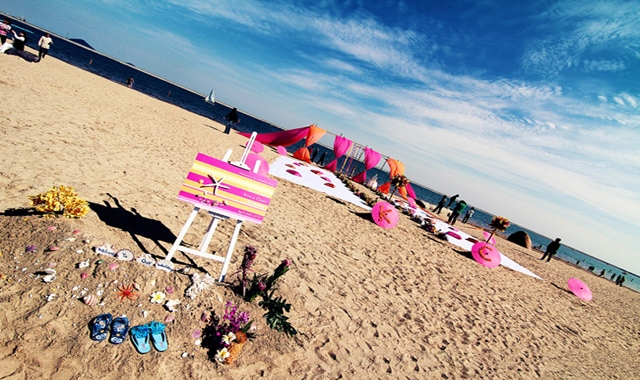 放飞蝴蝶,集体婚礼策划方案范文10篇