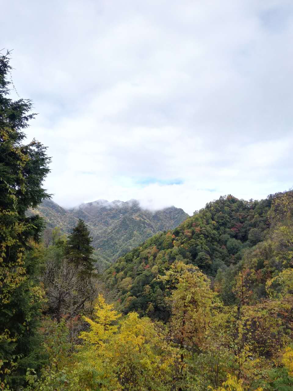 大美世外桃源香格里拉,关于西安香格里拉