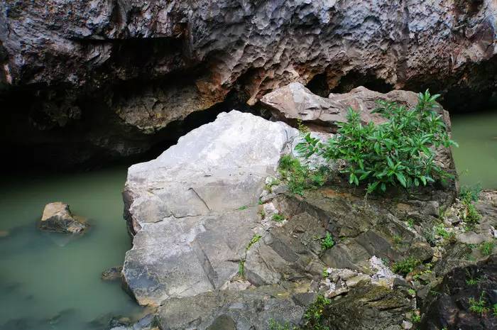 巴马世界旅居圣地,广西巴马长寿圣殿图片