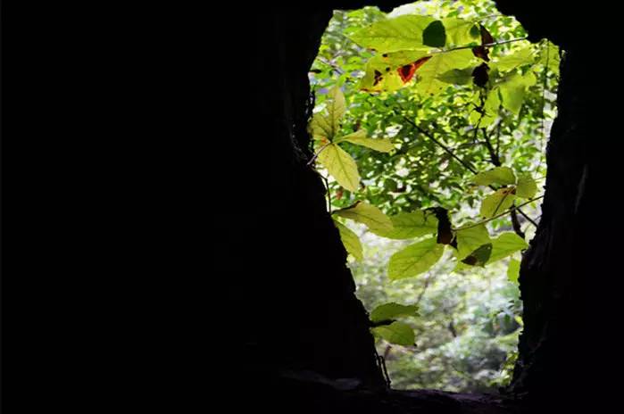 巴马世界旅居圣地,广西巴马长寿圣殿图片