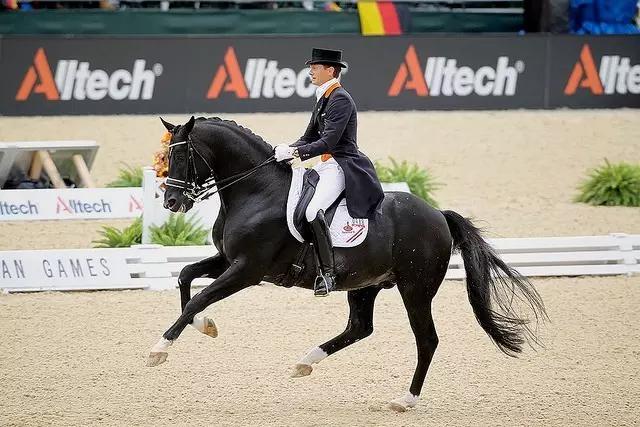 全球独一无二的车,全国独一无二的宝马轿车