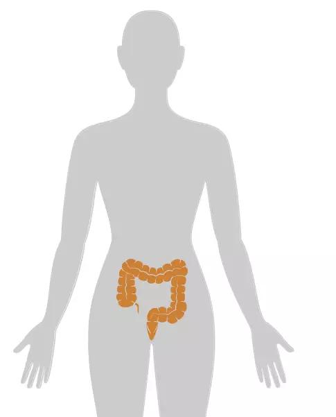 20张癌症人体地图告诉你致癌真相,2020癌症数据报告