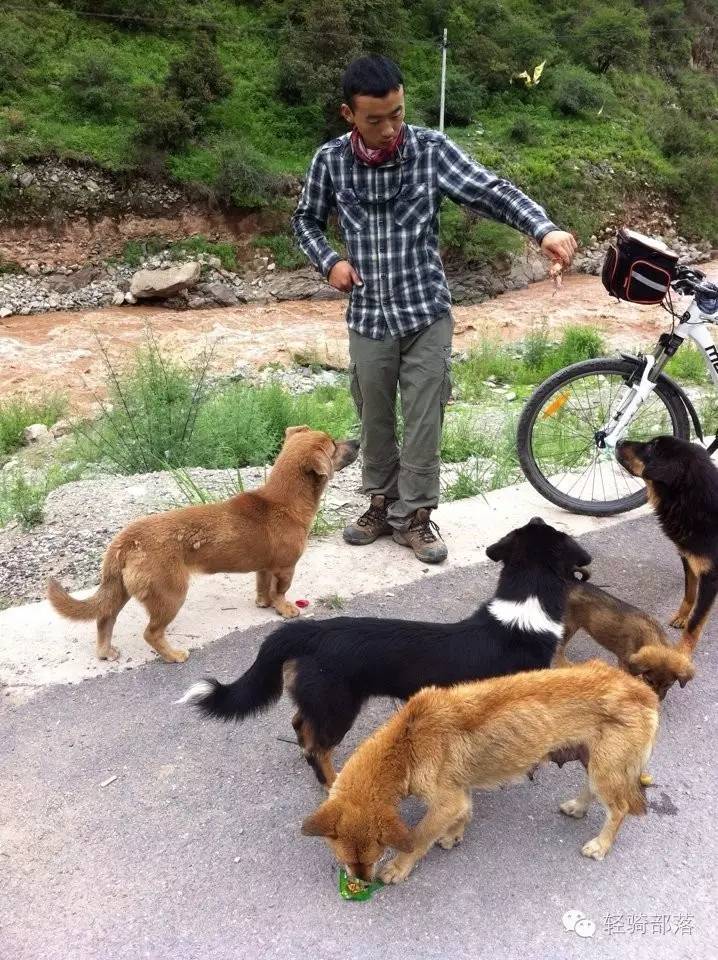 狗肉节引发风波全集,狗肉节引发的风波完整版广东卫视