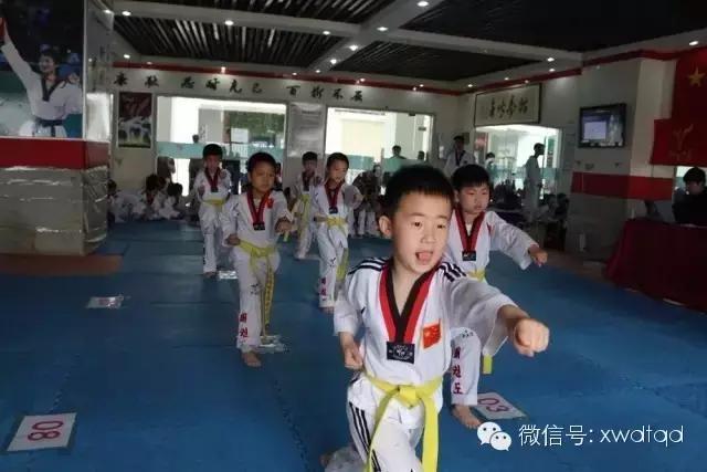 跆拳道晋级表用途,跆拳道晋级家长感谢语