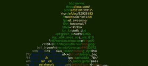 Daniel妈专栏|儿子早早有了大学专业方向,只因我做了这些