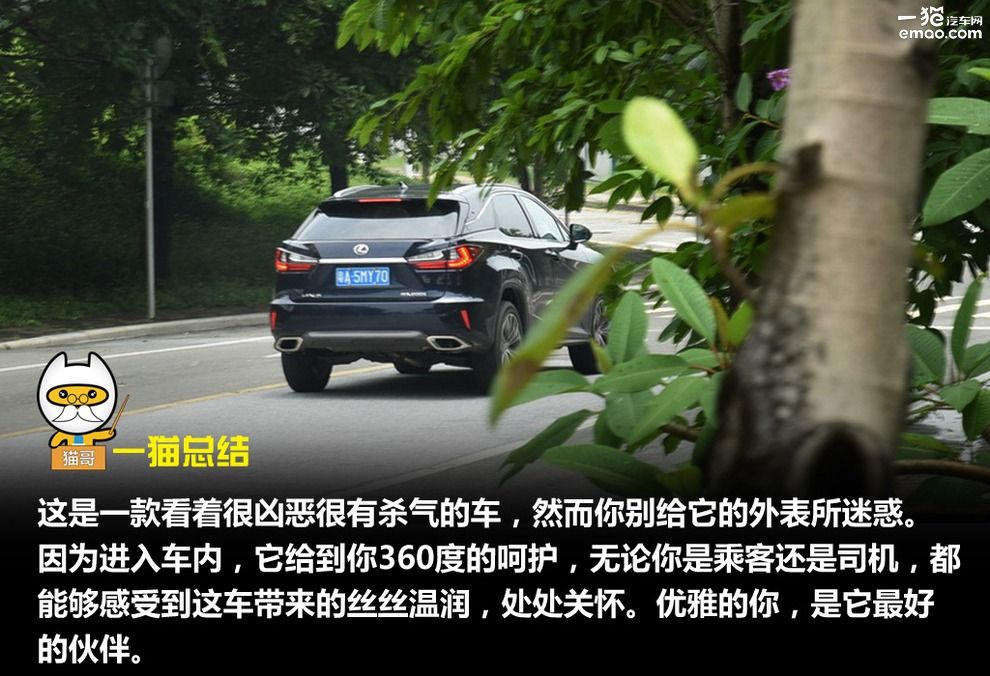 雷克萨斯RX350优雅,雷克萨斯rx3002022款