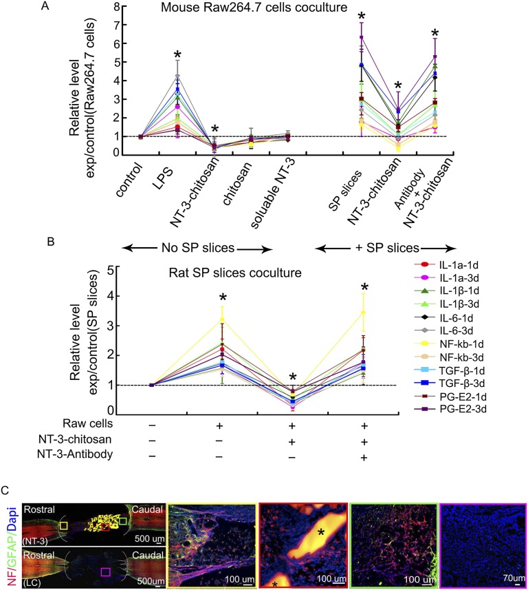 神经再生研究新突破,神经再生研究成果视频