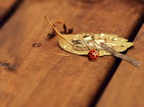 癌痛是中医还是西医,肿瘤患者心理痛苦如何缓解