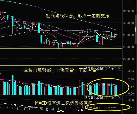 中国股民比中国男足球迷更惨