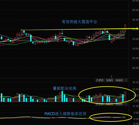 中国股民比中国男足球迷更惨